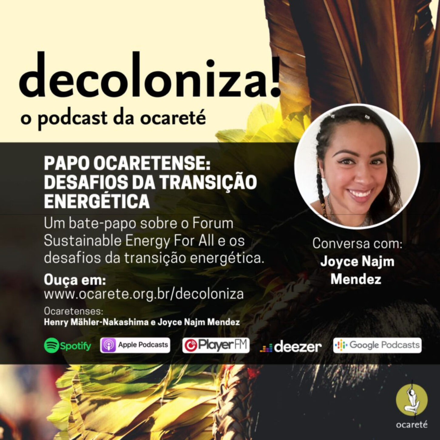 #71 – Papo Ocaretense: Desafios da Transição Energética